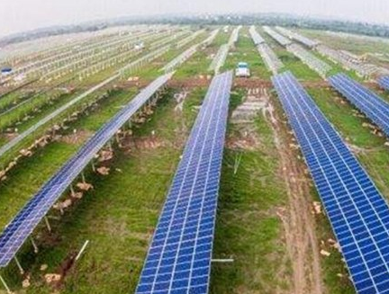 浙江寧波:光伏農業不僅減排還促進農民增收