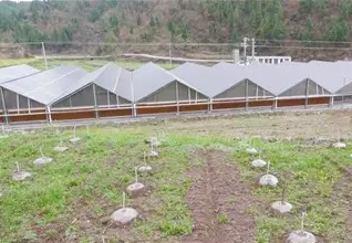 準扶貧看光伏，生態農業助力農村大發展