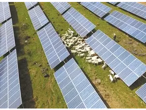 盱眙縣村民在“畜光互補”項目發電站內放羊