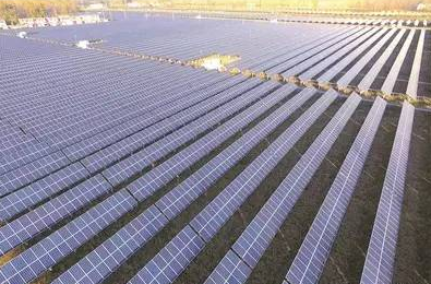 灌南縣“農光互補”光伏發電已并網發電產值超6000萬元