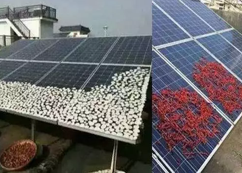 農村光伏電站致命殺手是遮擋，這幾樣遮擋萬萬要不得！
