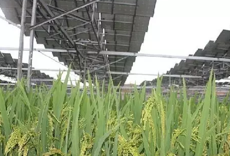 夏季能提高光伏電站發電量不假，但也會降低發電量！用戶該怎么辦？