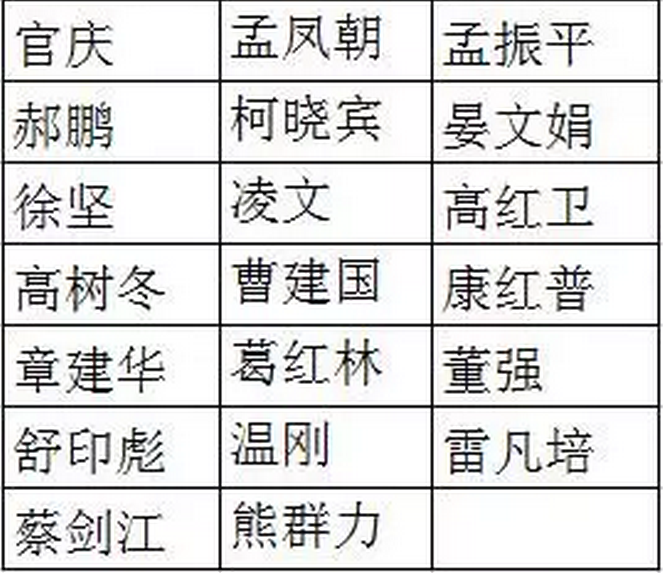 國網、國電投、大唐、神華、三峽等8家能源企業，總計29家央企大佬入選十九大代表