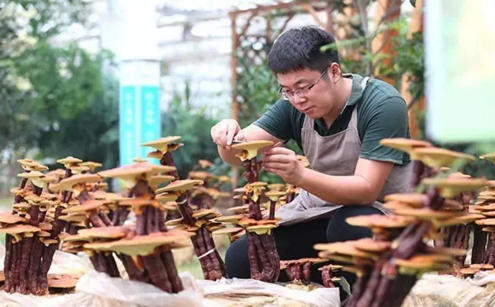 90后小伙趕上光伏好時代，回鄉創業年入百萬！