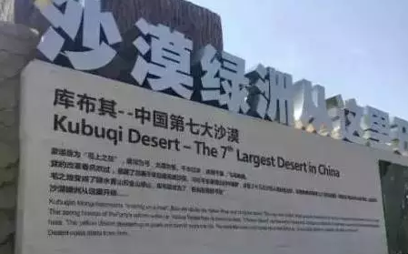 光伏板下搞養殖拼出“沙漠綠洲” 給21億人帶來希望！