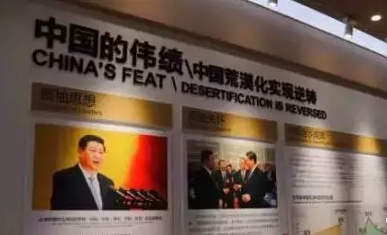 光伏板下搞養殖拼出“沙漠綠洲” 給21億人帶來希望！