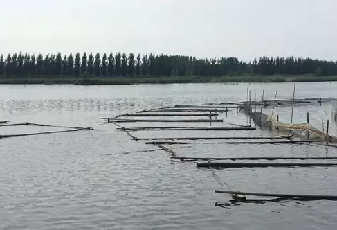 濟寧光伏領跑者基地930并網或基本無望，領跑者前期基地規劃需慎重