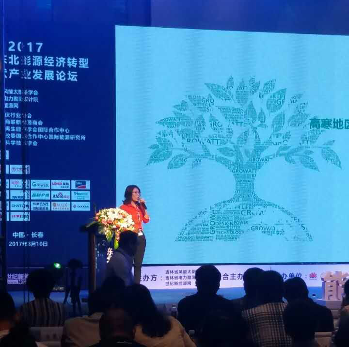 高寒地區挑戰多？分布式項目光伏逆變器的可靠性是關鍵！