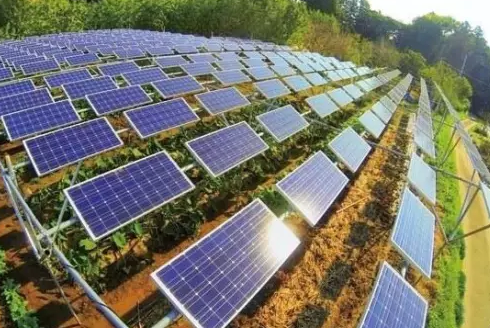 分布式光伏發電市場真的爆發了嗎？還缺點啥？