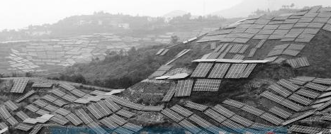 河南鞏義100棵會發電的“樹”下個月將種在310國道旁