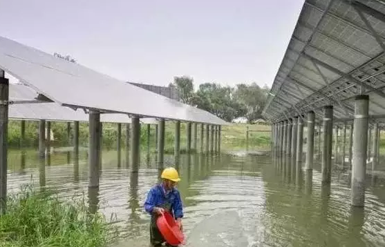 光伏農業——最新經濟熱點，遍地機遇你抓住了嗎？