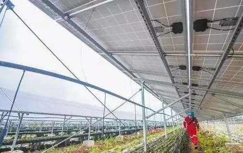 光伏農業——最新經濟熱點，遍地機遇你抓住了嗎？