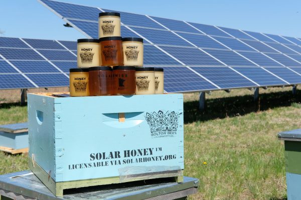 美國明尼蘇達州新法案:太陽能電站應同時架設蜜蜂棲息地