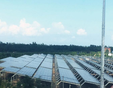 一期45MW！廣西首個海水漁光互補光伏電站并網發電