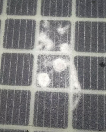 開通僅三天 全球首條光伏高路公路遭人為破壞！