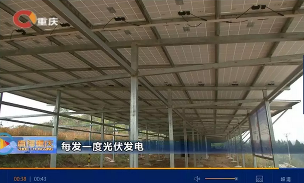 光伏發電又多了一項補貼！二氧化碳零排放補貼！