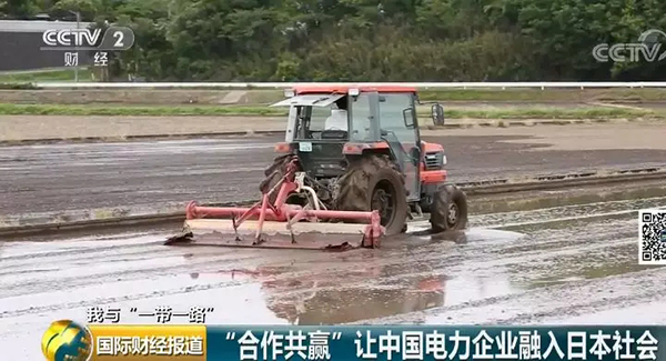中國央企用光伏帶日本農民致富！10倍租金盤活荒廢農地
