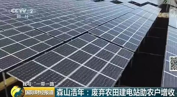 中國央企用光伏帶日本農民致富！10倍租金盤活荒廢農地
