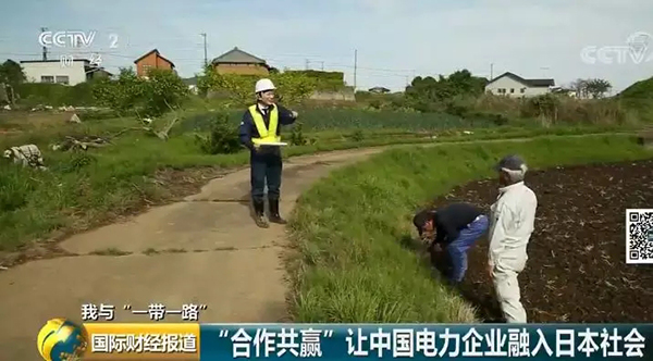 中國央企用光伏帶日本農民致富！10倍租金盤活荒廢農地