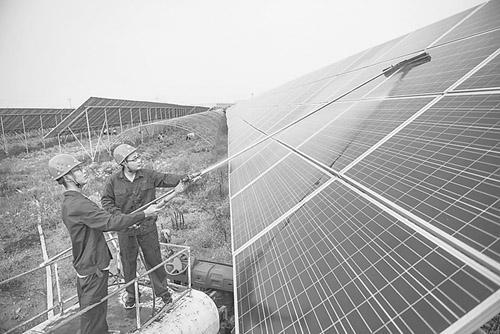 河北棗強縣積極推進“農光互補”光伏電站建設