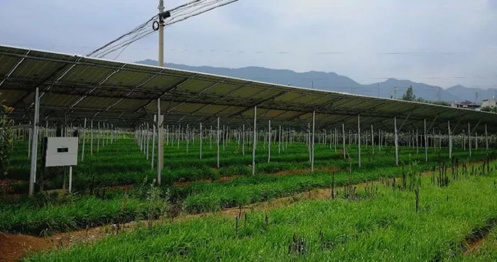 商洛市3MW農光互補項目成示范，首航逆變器穩定助力，業主收益有保障