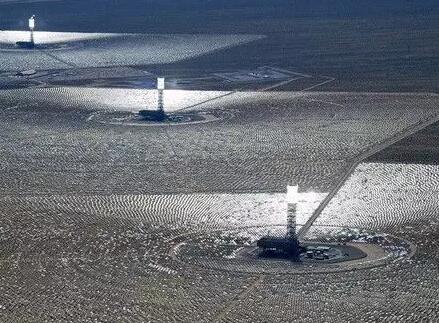 如何守護光熱電站廠區內的野生動植物？看海外幾個光熱項目是如何做的