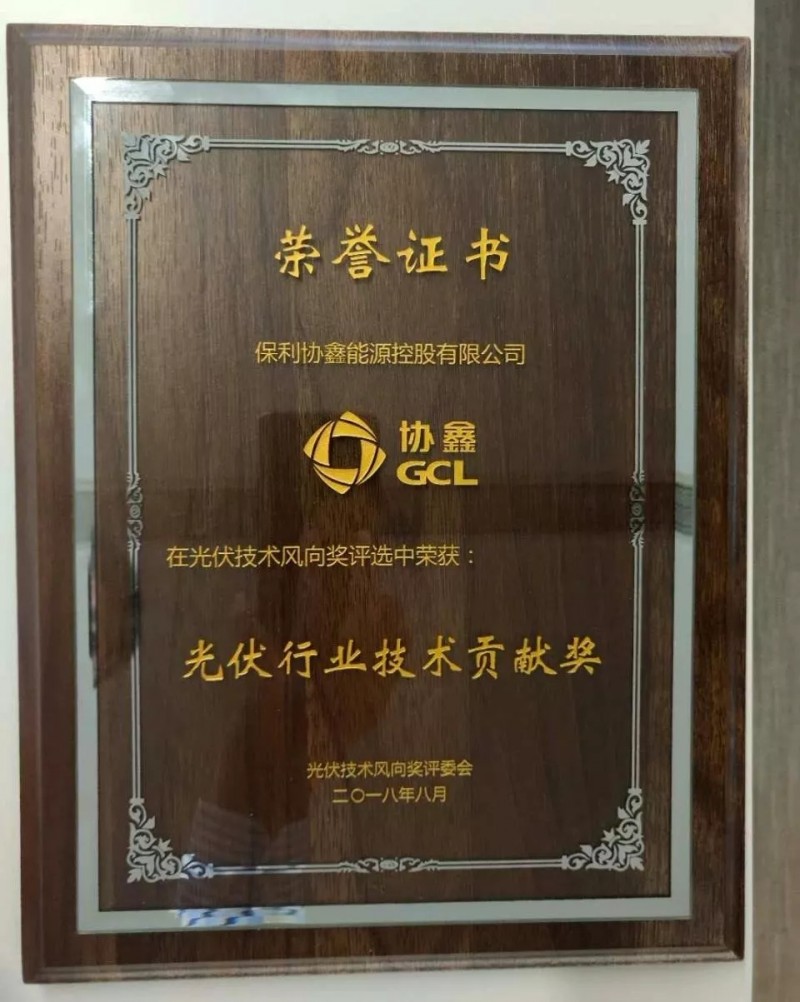 引領黑硅高效光伏，保利協鑫榮膺“光伏行業技術貢獻獎”